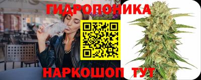 индика Краснокаменск