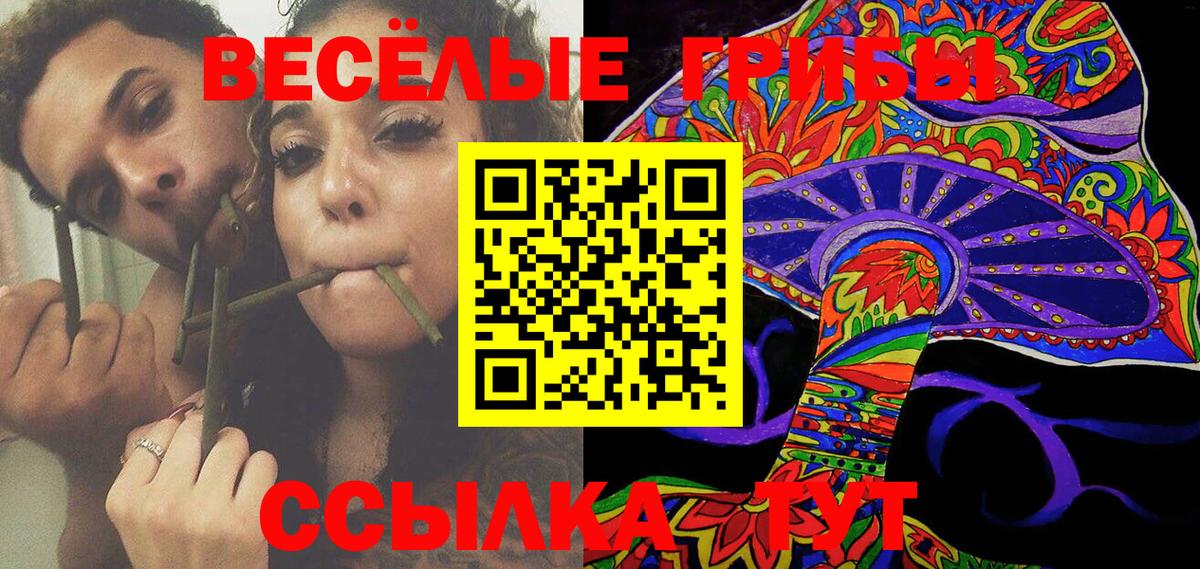 сколько стоит  Псилоцибиновые грибы MAGIC MUSHROOMS  Вход с VPN  Верхний Уфалей  Галлюциногенные грибы GOLDEN TEACHER 