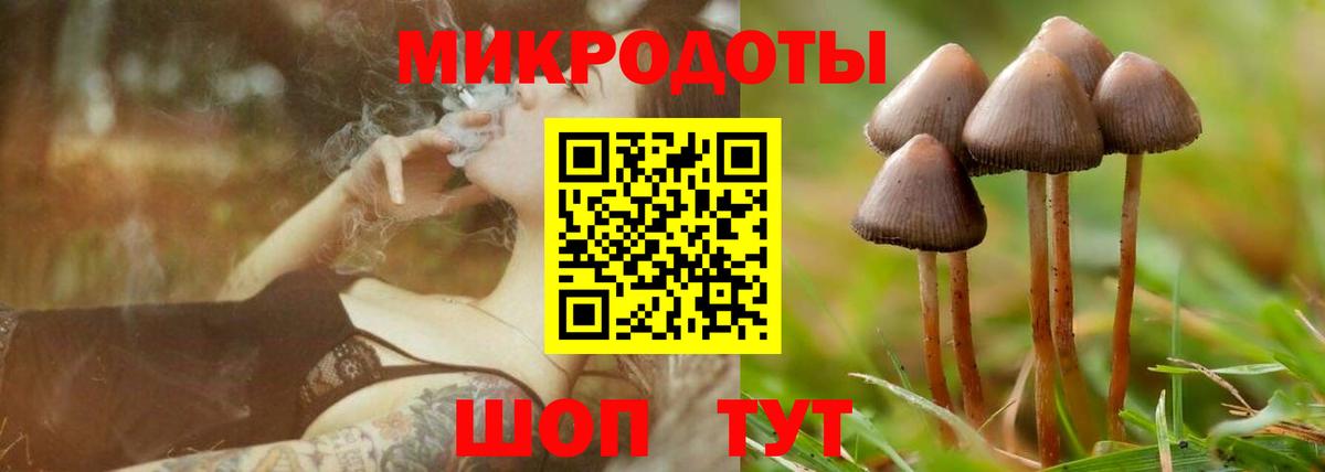 Псилоцибиновые грибы Magic Shrooms Верхний Уфалей